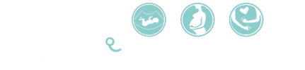 Jurusan Kebidanan