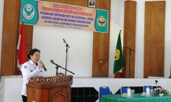 IMG_1533 IMG_1533