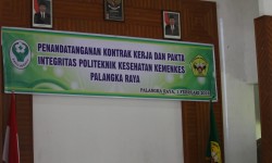 IMG_1117 IMG_1117