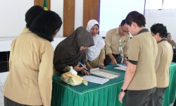 IMG_1169 IMG_1169