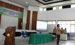 IMG_1206 IMG_1206